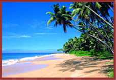  Nice Beaches Sri Lanka 
